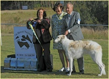 Sholly winning Puppy in Show at the Borzoi National 2012